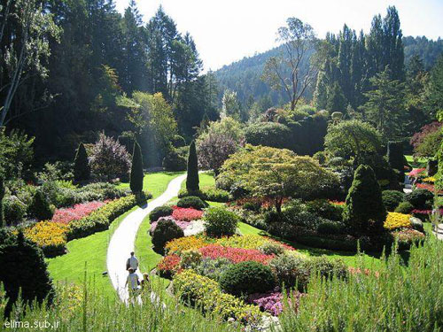 تصویری: زیباترین باغ دنیا