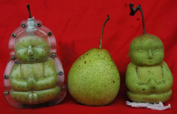 کشت میوه گلابی در قالب از سوی یک کشاورزمبتکر چینی!!!نگا چه شکلیه!! 1