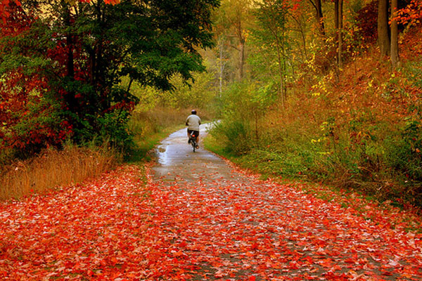 پاییز هزار رنگ کانادا (تصویری)