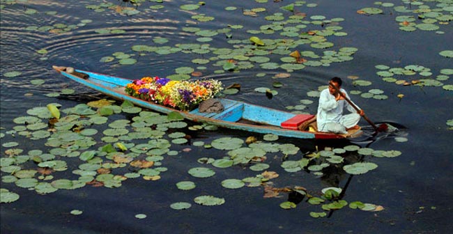 کشمیر