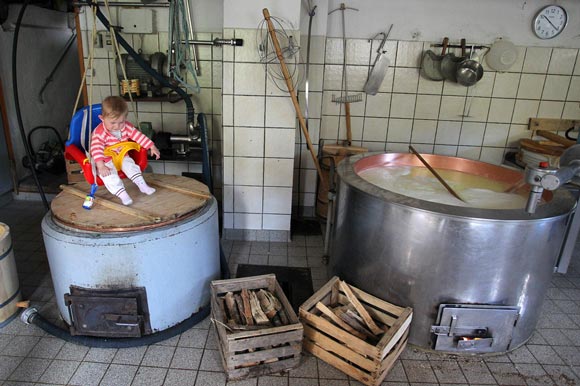 کارگاه پنیرسازی یک زن آلمانی