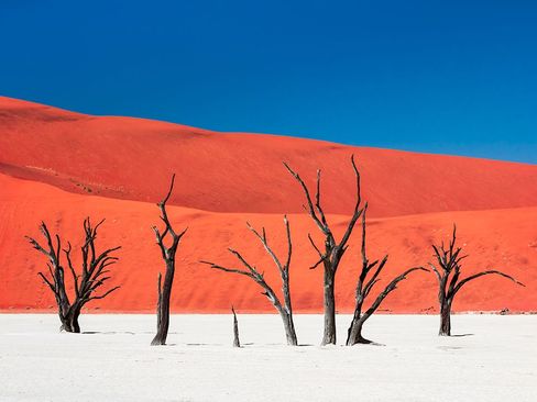 جزیره سکوت و گرما- نامیبیا