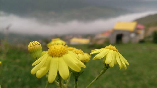 روستای فیلبند-  آمل-  مسعود شنوایی