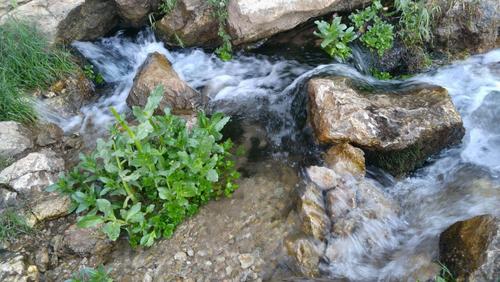 سراب ابکت- شهرستان درود- استان لرستان- سجاد رحمتی