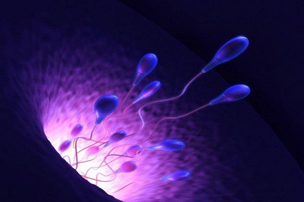 پرورش سلول‌های اسپرم انسان در آزمایشگاه برای نخستین بار