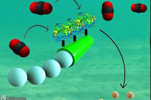 پاکسازی آلودگی دی اکسید کربن اقیانوس با نانوموتور