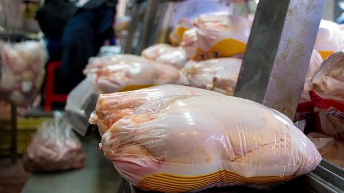 ایرنا: قیمت مرغ، کمتر از ۵۰ هزار تومان