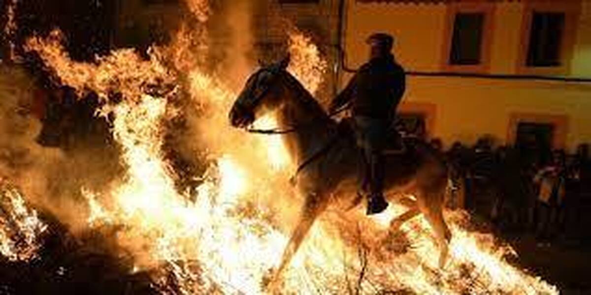ببینید| فستیوال عجیب در اسپانیا/ اسب‌هایی که برای سلامتی از میان دود و آتش عبور می‌کنند