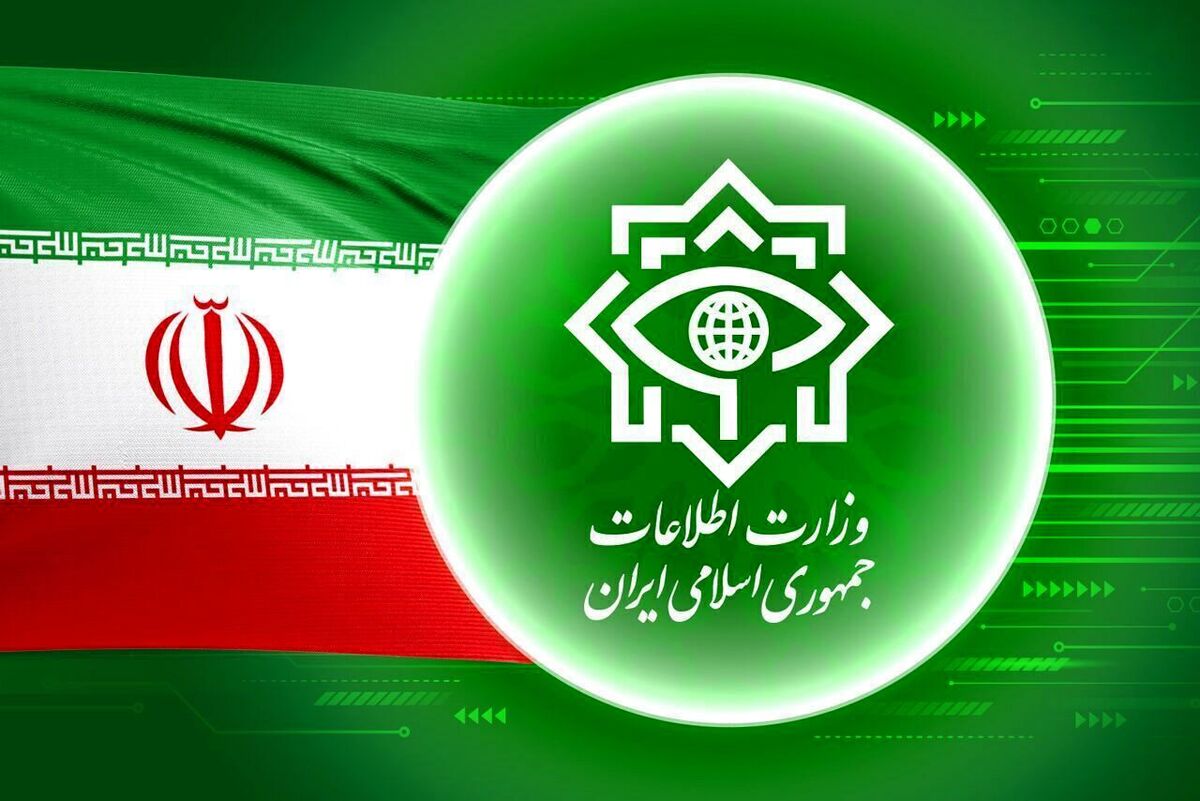 مشاور وزیر اطلاعات: ۹۰ کشور خواهان خرید پهپادهای ایرانی هستند / نقش ریزپرنده های ایرانی در جنگ روسیه تعیین کننده است