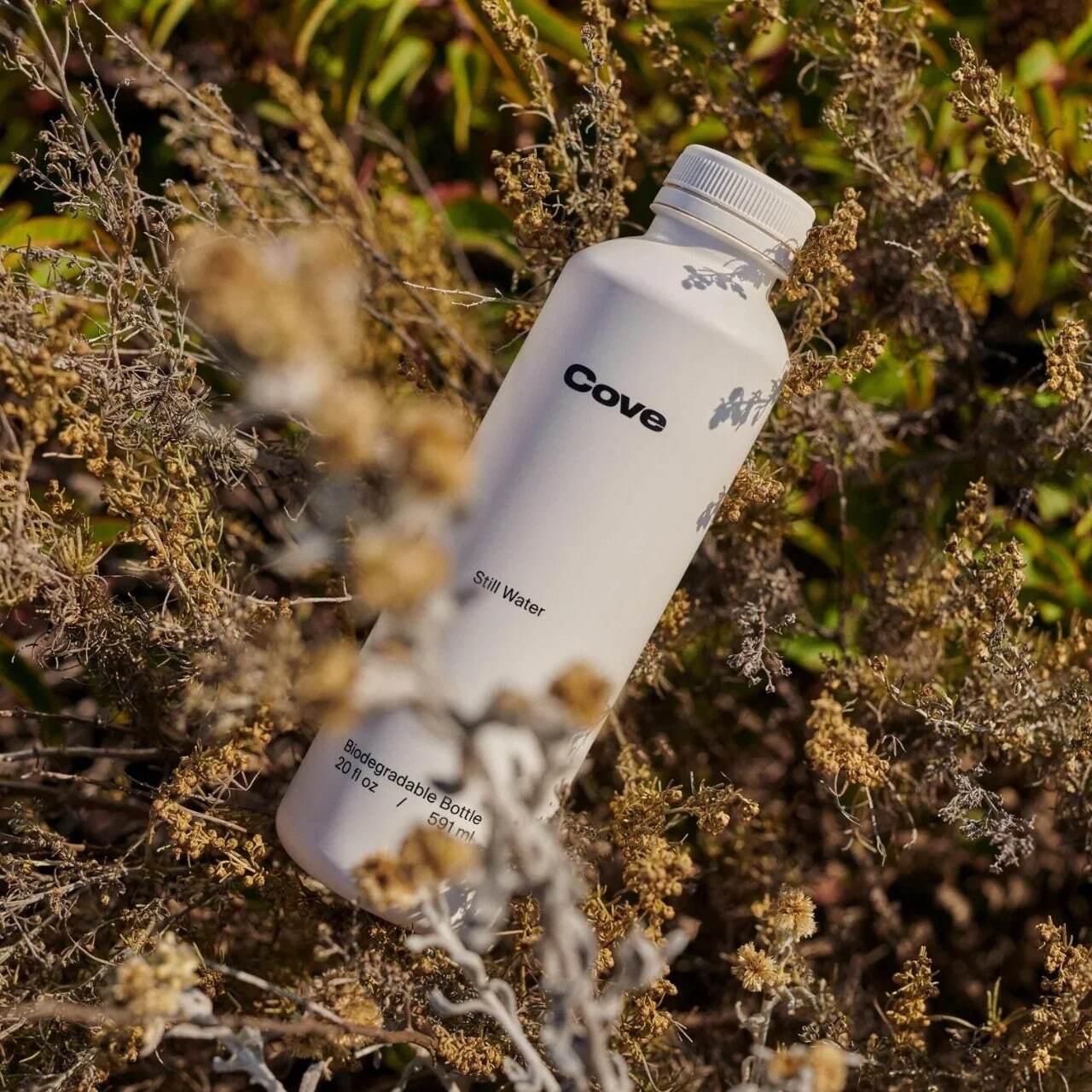 کاو؛ معرفی نخستین بطری آب زیست تخریب‌پذیر جهان