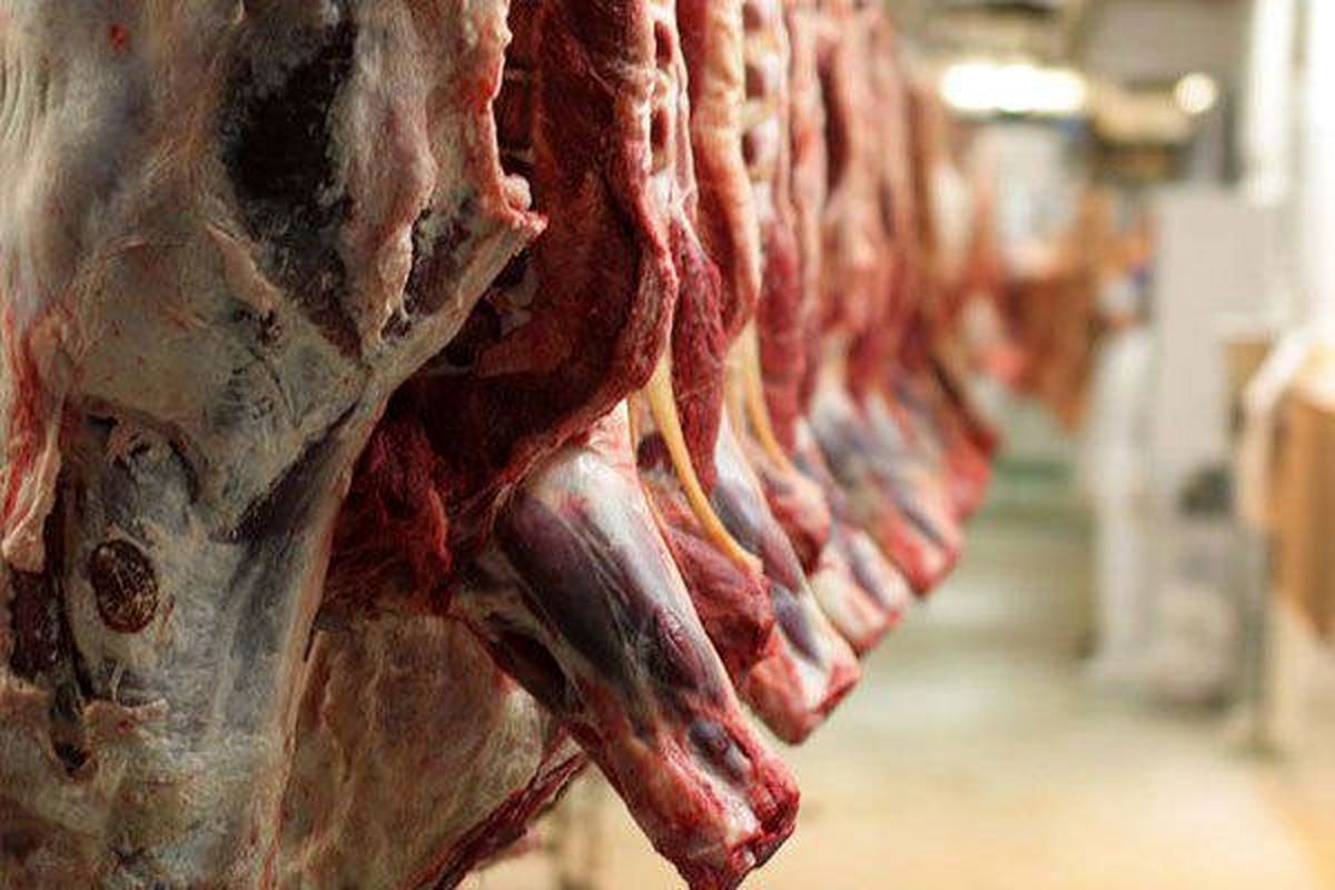 دامپزشکی: گزارشاتی مبنی بر فروش گوشت الاغ و اسب وجود دارد/ فروش گوشت اسب و الاغ به حدی نیست که مردم نگران باشند