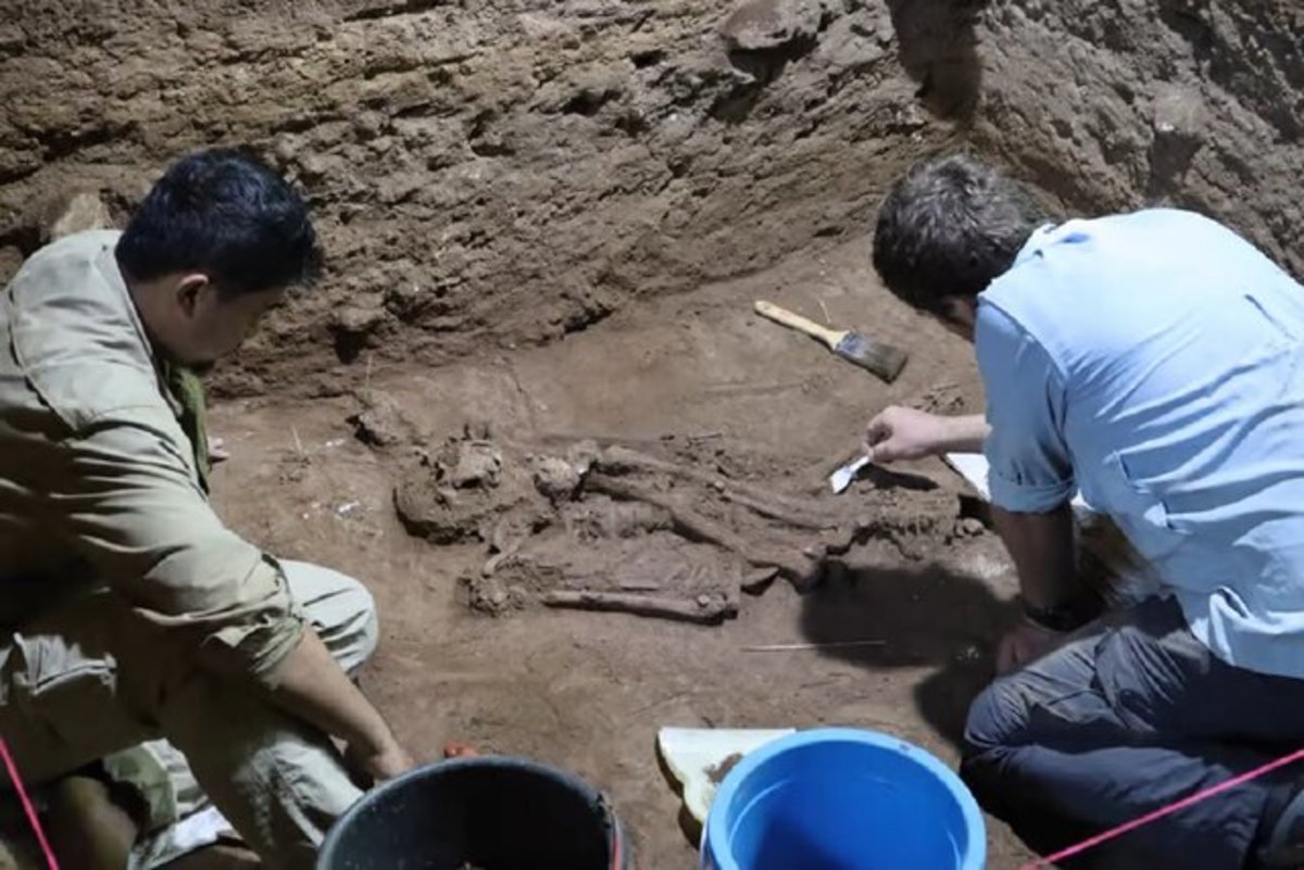 اندونزی/ کشف قدیمی‌ترین عمل جراحی در عصر حجر