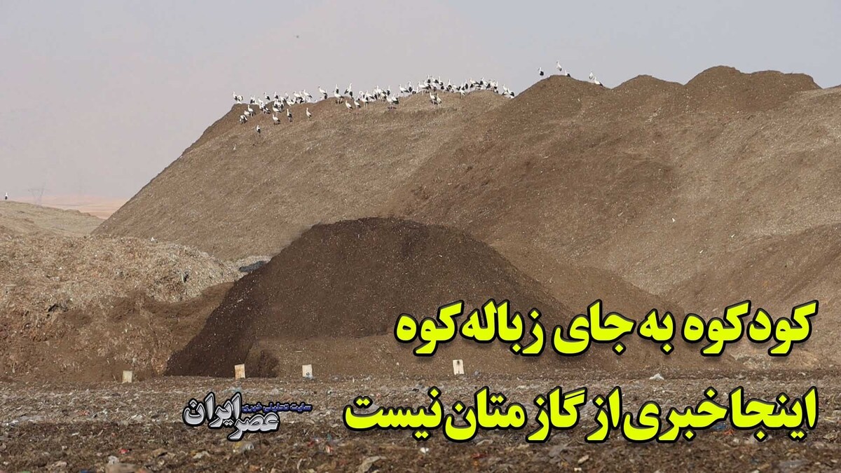 یک زن در ایران کاری کرد که دولت‌ها نتوانستند/کوه کود به جای کوه زباله؛ اینجا خبری از گاز متان نیست! (فیلم)
