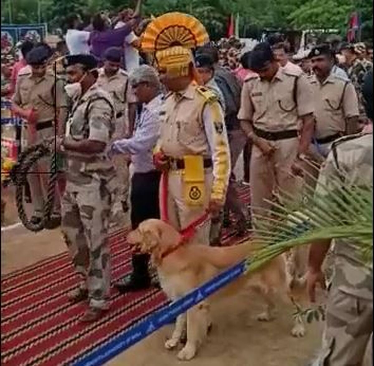 ببینید | مراسم بازشستگی یک سگ خدمت در هند