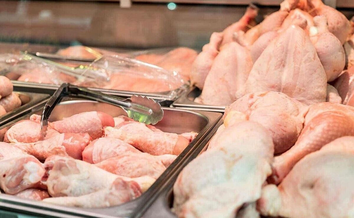 مشاور اتحادیه مرغداران گوشتی: مشکل نهاده‌های طیور حل شد/ بخشی از افزایش قیمت مرغ به دلیل گران فروشی است