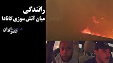 دست رد مجسمه ساز ایرانی به پیشنهاد انگلیسی‌ها / هویت، قیمت ندارد 9