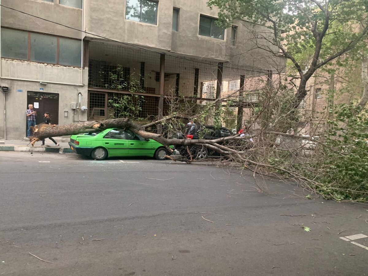 آسیب جدی طوفان به حدود ۵۰۰ دستگاه خودرو در پایتخت