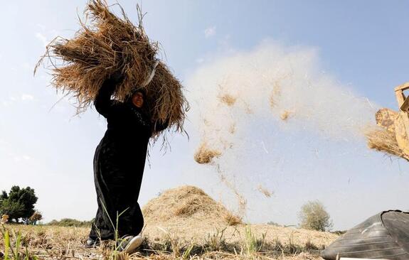 دیدنی های امروز؛ از آیین های روز مُردگان تا کارزارهای انتخاباتی آمریکا 3